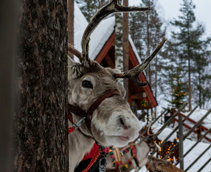 Lapland